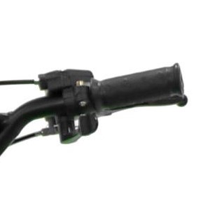 Adult Control