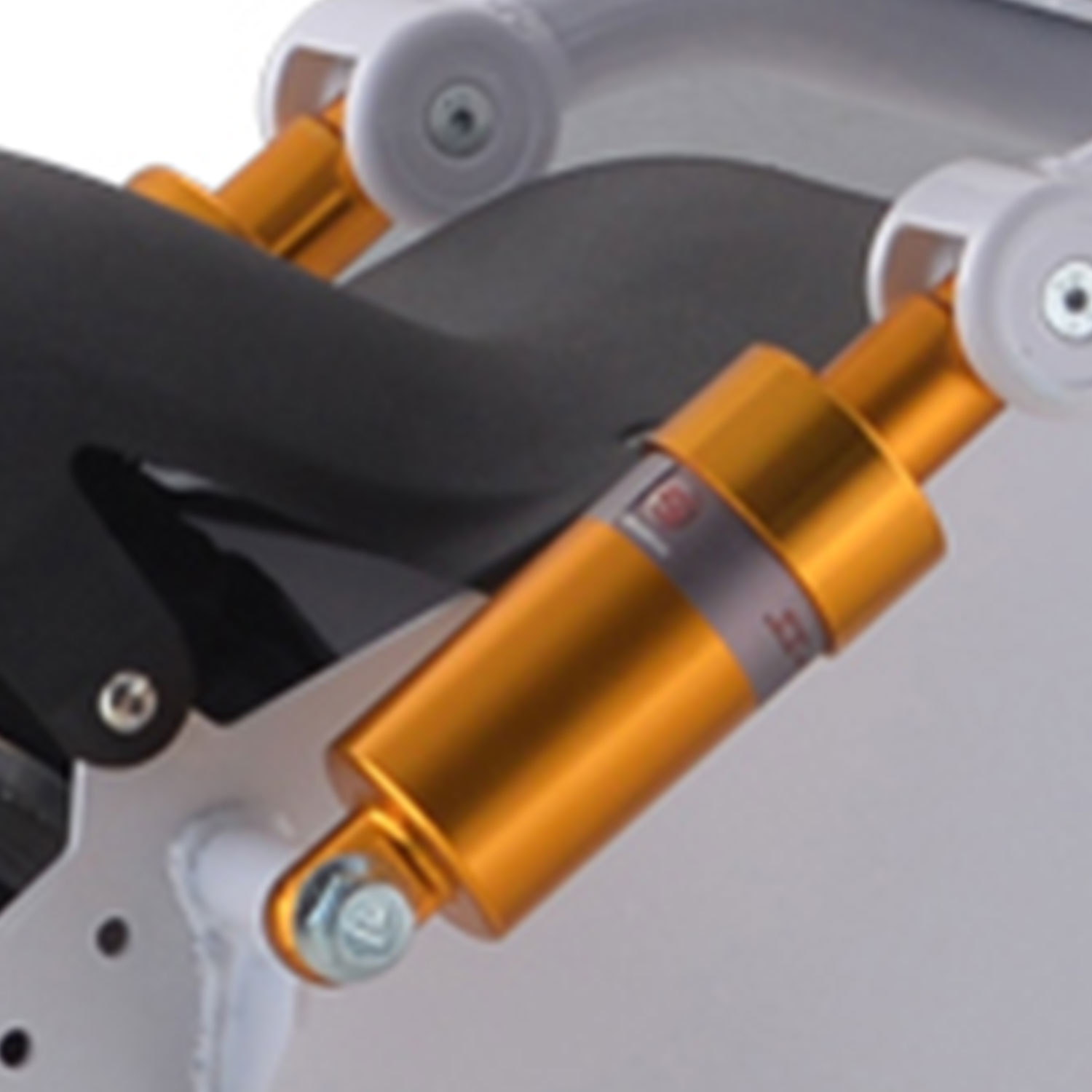 Twin Rear Shock Suspension