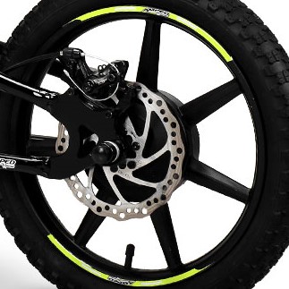 Rear Disc Brake