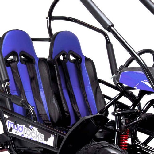 Adjustable Bucket Seats with 5 Point Safety Harness